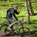 Rocks N'Roll 2017