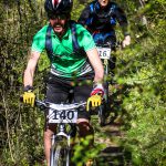 Rocks N'Roll 2017