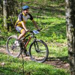 Rocks N'Roll 2017