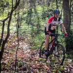 Rocks N'Roll 2017