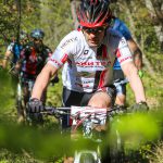 Rocks N'Roll 2017