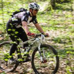 Rocks N'Roll 2017
