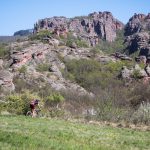 Rocks N'Roll 2017
