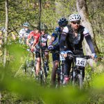 Rocks N'Roll 2017