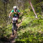 Rocks N'Roll 2017