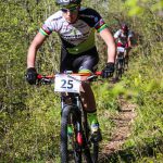 Rocks N'Roll 2017