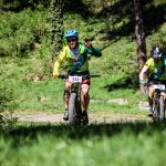 Rocks N'Roll 2017