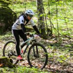 Rocks N'Roll 2017