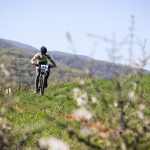 Rocks N'Roll 2017