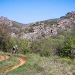 Rocks N'Roll 2017