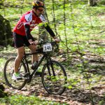 Rocks N'Roll 2017