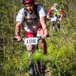 Rocks N'Roll 2017