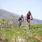 Rocks N'Roll 2017
