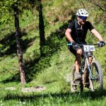 Rocks N'Roll 2017