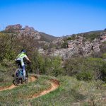 Rocks N'Roll 2017