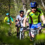 Rocks N'Roll 2017