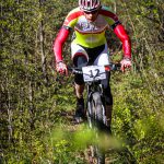 Rocks N'Roll 2017