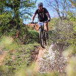 Rocks N'Roll 2017