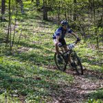 Rocks N'Roll 2017