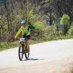 Rocks N'Roll 2017
