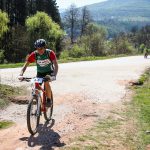 Rocks N'Roll 2017