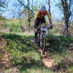 Rocks N'Roll 2017