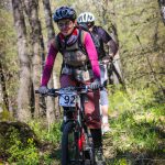 Rocks N'Roll 2017