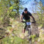 Rocks N'Roll 2017