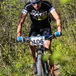 Rocks N'Roll 2017