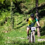 Rocks N'Roll 2017