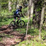 Rocks N'Roll 2017