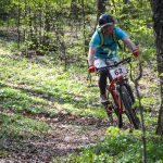 Rocks N'Roll 2017