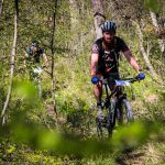 Rocks N'Roll 2017