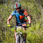 Rocks N'Roll 2017