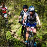 Rocks N'Roll 2017