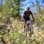 Rocks N'Roll 2017