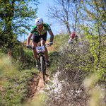 Rocks N'Roll 2017