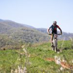 Rocks N'Roll 2017