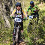 Rocks N'Roll 2017