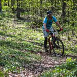 Rocks N'Roll 2017