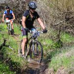 Rocks N'Roll 2017