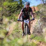 Rocks N'Roll 2017