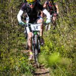 Rocks N'Roll 2017