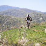 Rocks N'Roll 2017