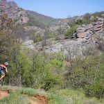 Rocks N'Roll 2017