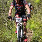 Rocks N'Roll 2017