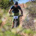 Rocks N'Roll 2017