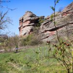Rocks N'Roll 2017