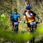 Rocks N'Roll 2017