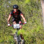 Rocks N'Roll 2017
